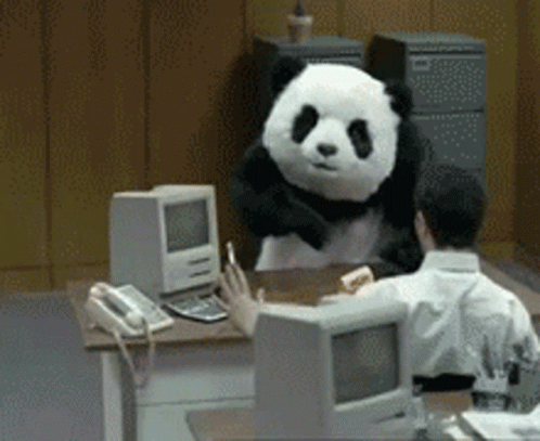 Panda GIF